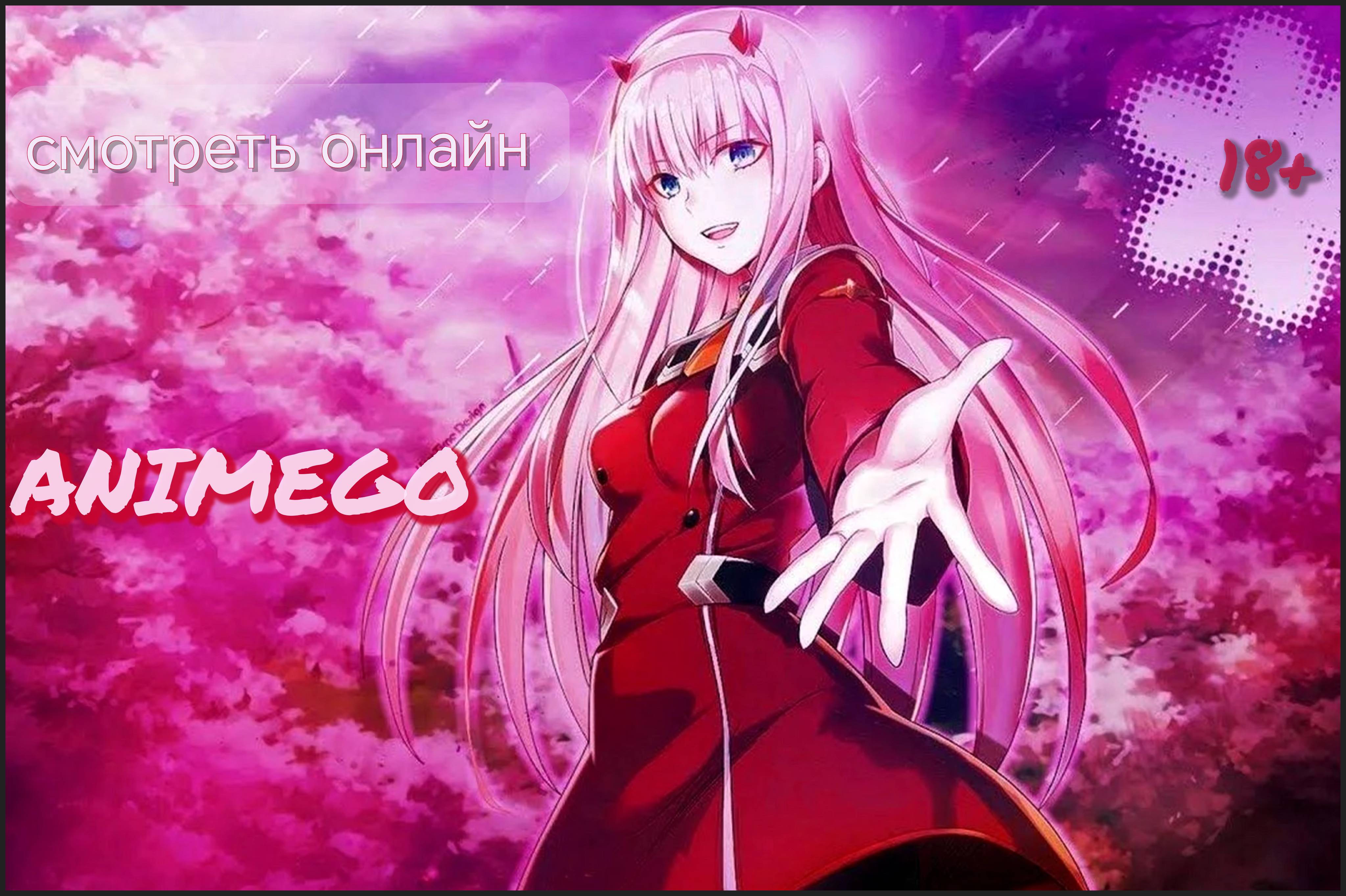 Animego
